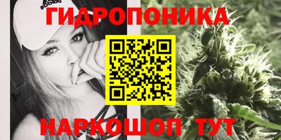 не бодяженный Будённовск