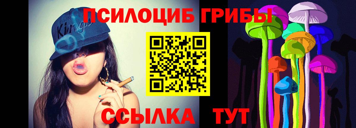 Псилоцибиновые грибы GOLDEN TEACHER  Псилоцибиновые грибы прущие грибы  Вход с VPN  Коммунар 