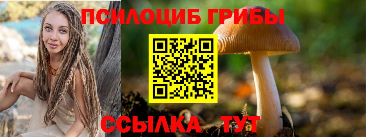Псилоцибиновые грибы GOLDEN TEACHER Коммунар